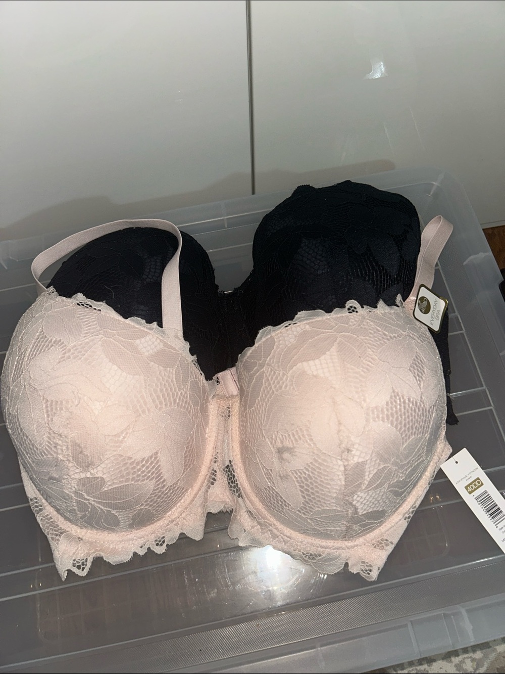 Adrienne Vittadini Lace Push-Up Bra in Blush Pink and Black